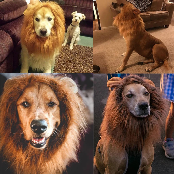 Lion mane, pet costume