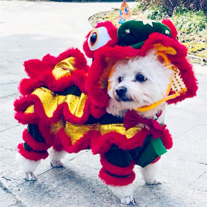 Chinese new year dragon pet costume