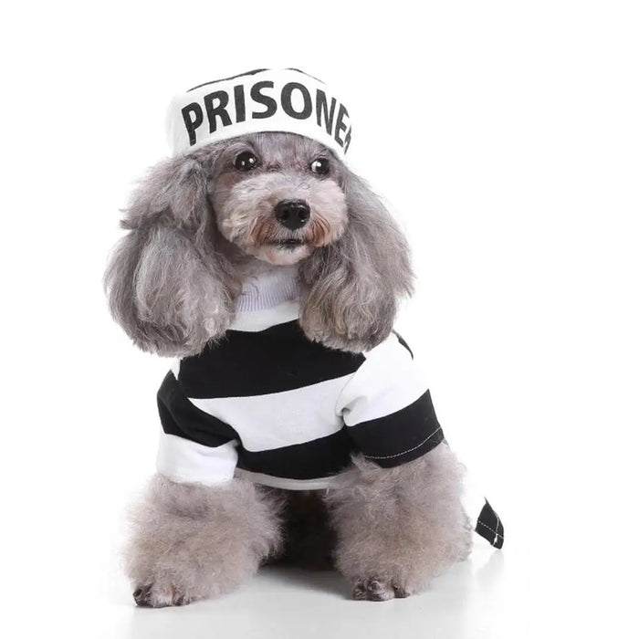 Pet Prisoner costume
