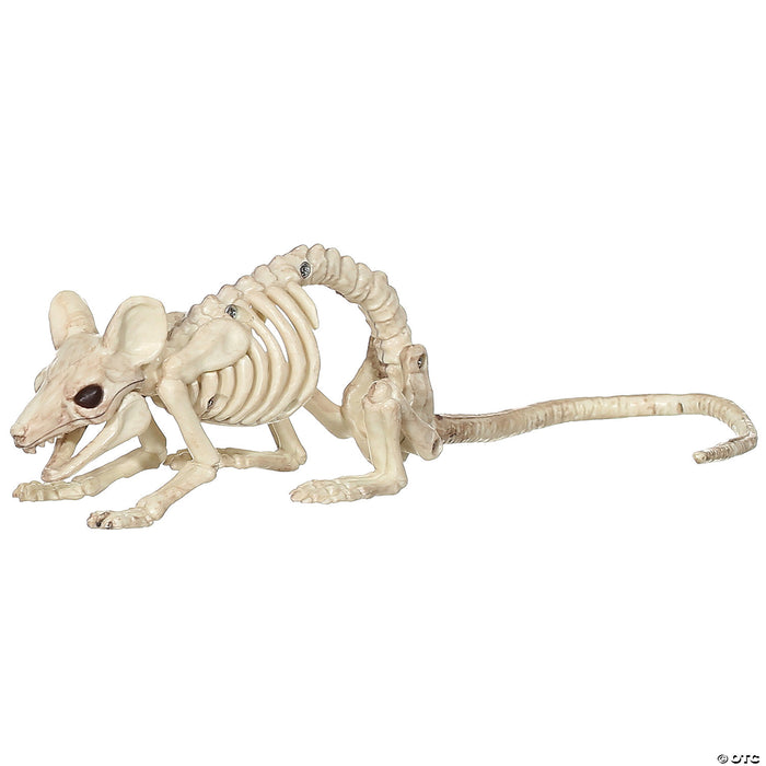 Crawling Rat Skeleton