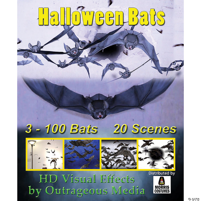 Halloween Bats Digital Decor Usb