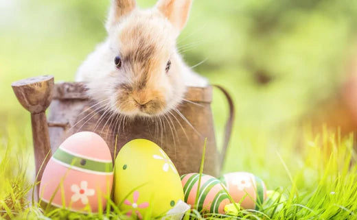 15 Maskot Easter Bunny yang Menyerupai Furries