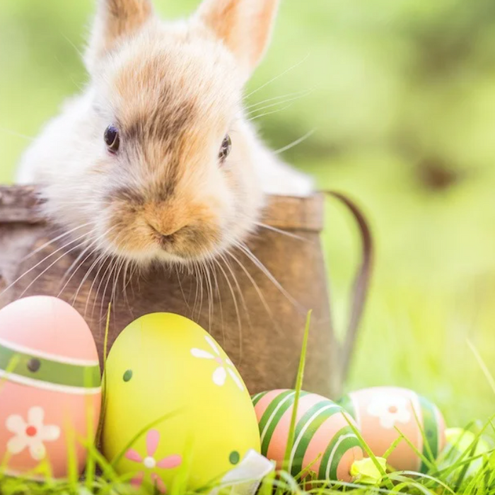 15 Easter Bunny Mascots that Resemble Furries