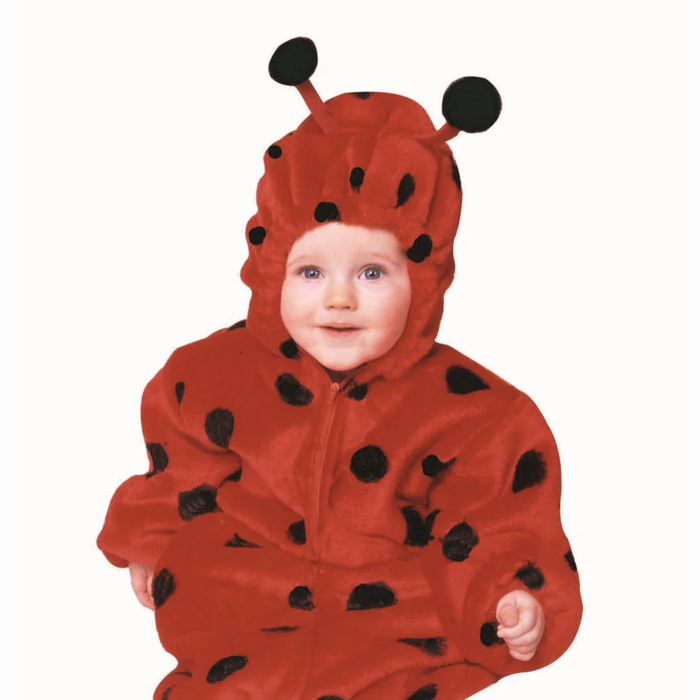 Snuggle Bug Ladybug Bunting