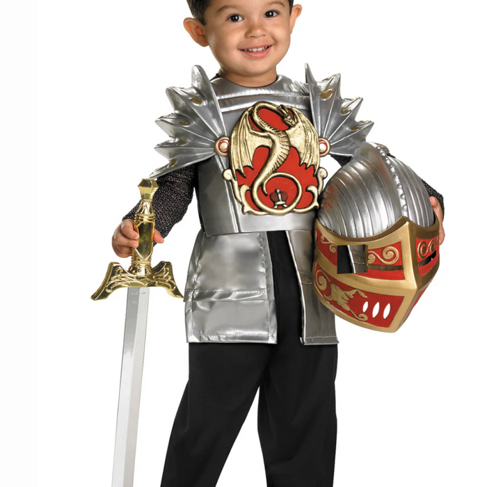 Brave Dragon Knight Toddler Costume