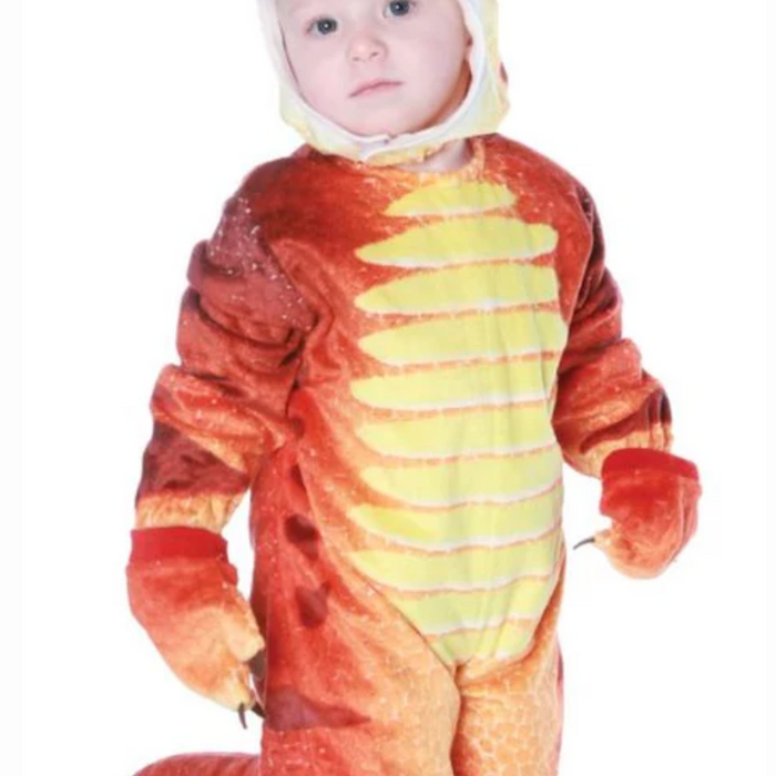 Roaring T-Rex Explorer Costume