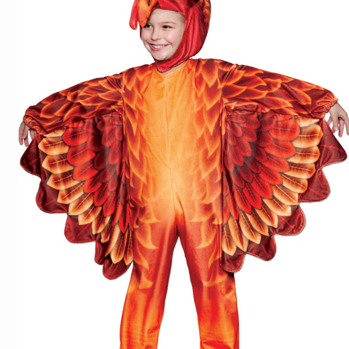 Turkey Delight Toddler Costume