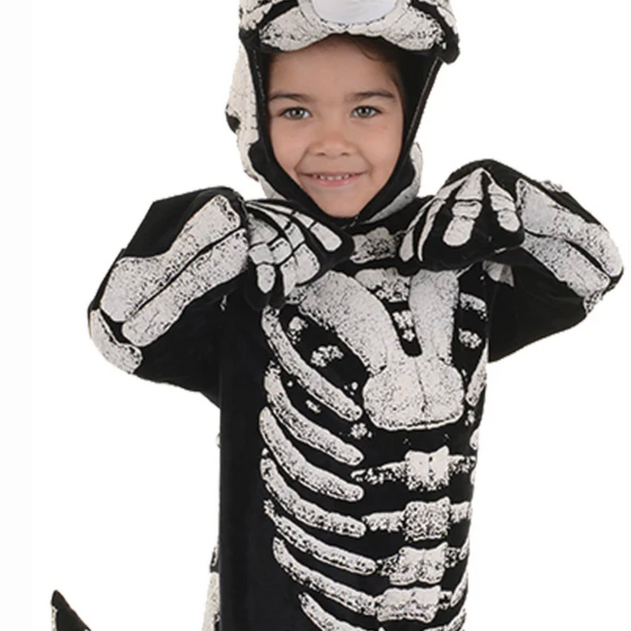 Triceratops Toddler Costume