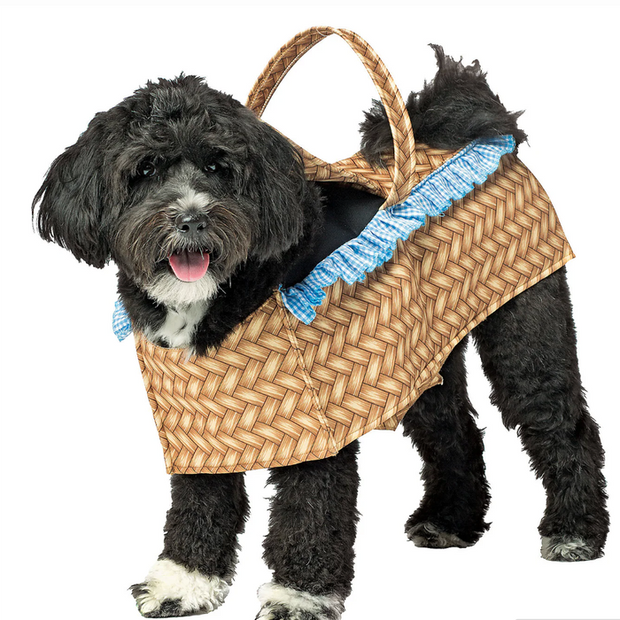Basket Costume, Pet Fun