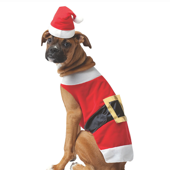 Santa Costume, Pet Joy