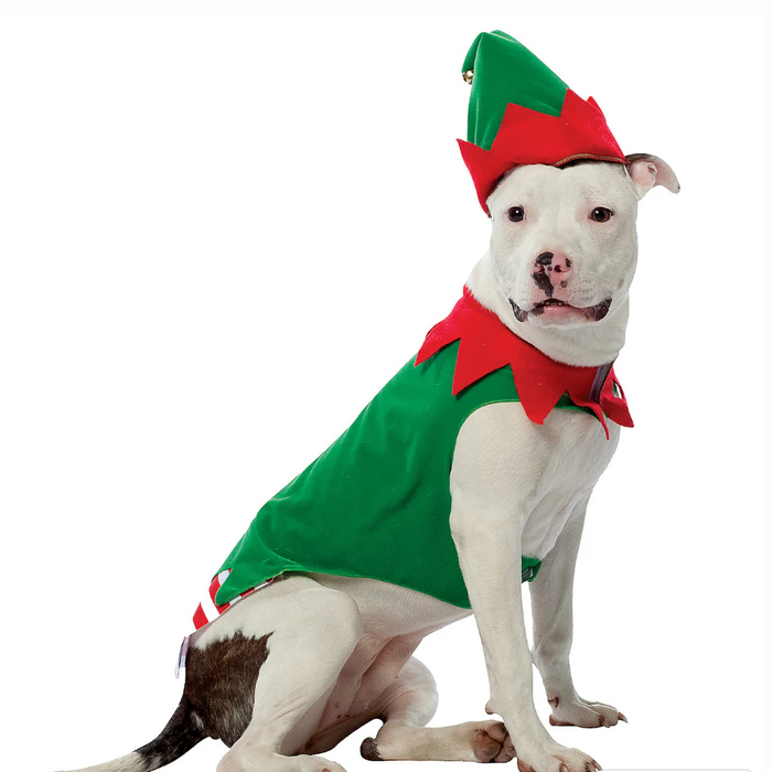 Elf Costume, Pet Joy
