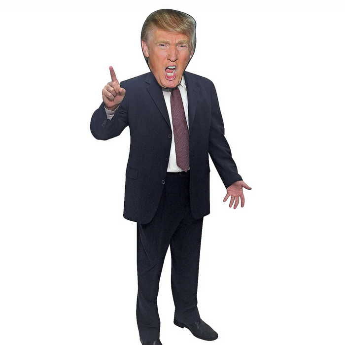 Trump's Triumph and Biden's Downfall