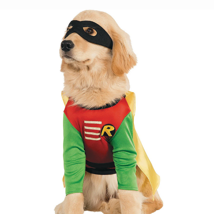 Everyday Heroes: Transforming Ordinary Moments with the Batman Dog Costume