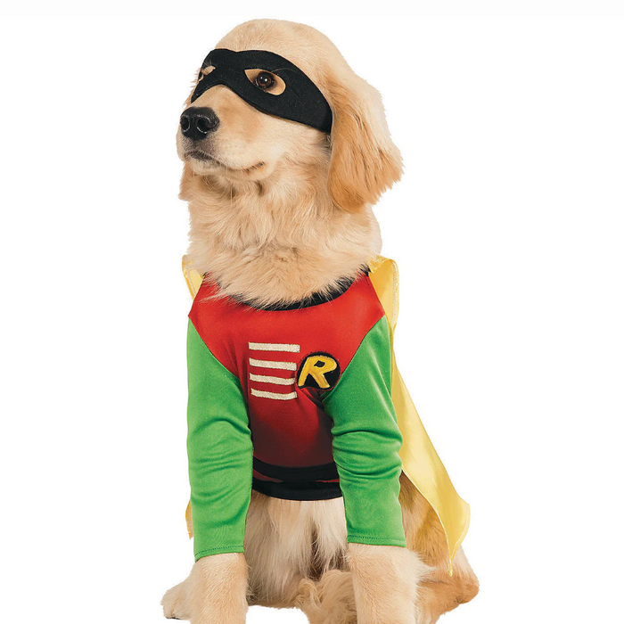 From Everyday to Extraordinary: Tips for Capturing Your Pet in the Robin Dog Halloween Costume