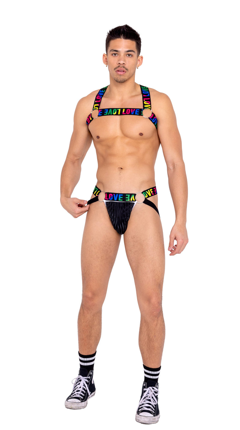 6159 - Men���s Pride Jock Strap with LOVE Elastic Logo - Black/Multi / L - image 1