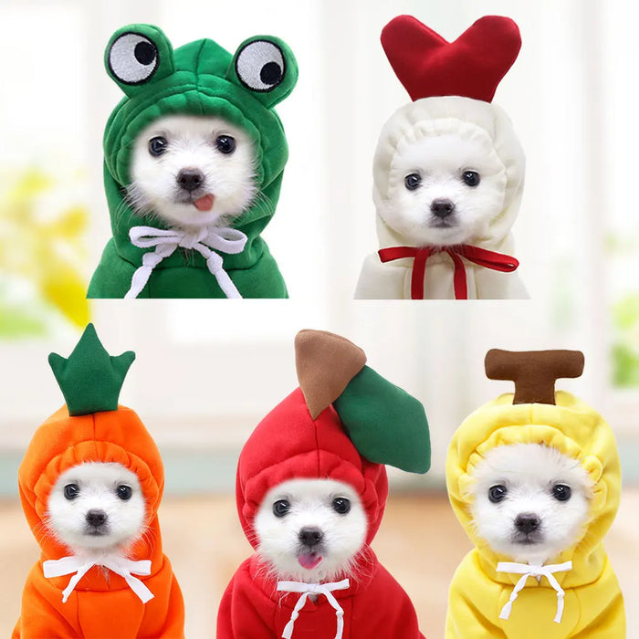Cute fruit and Animal Pet Costume