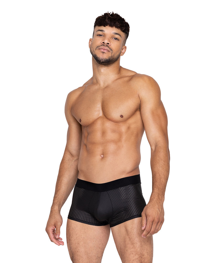 LI664 - Master Trunks - Black / L - image 1