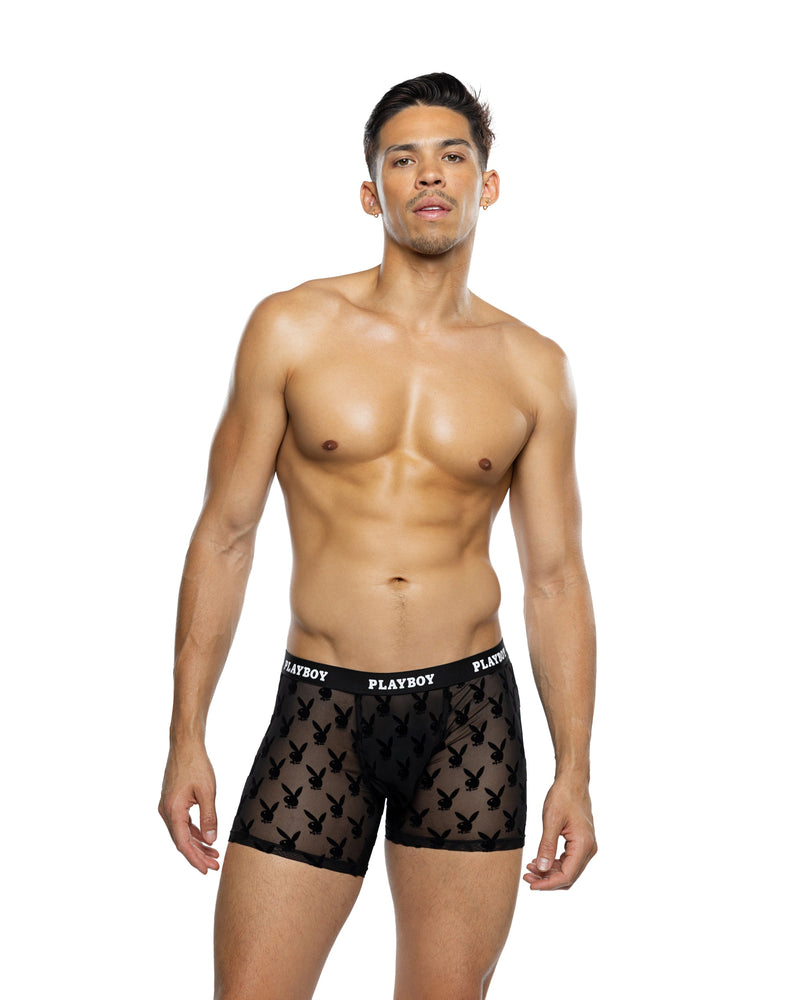 PBLI227 - Burnout Bunny Boxer Briefs - Black / L - image 1