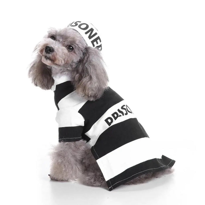 Pet Prisoner costume