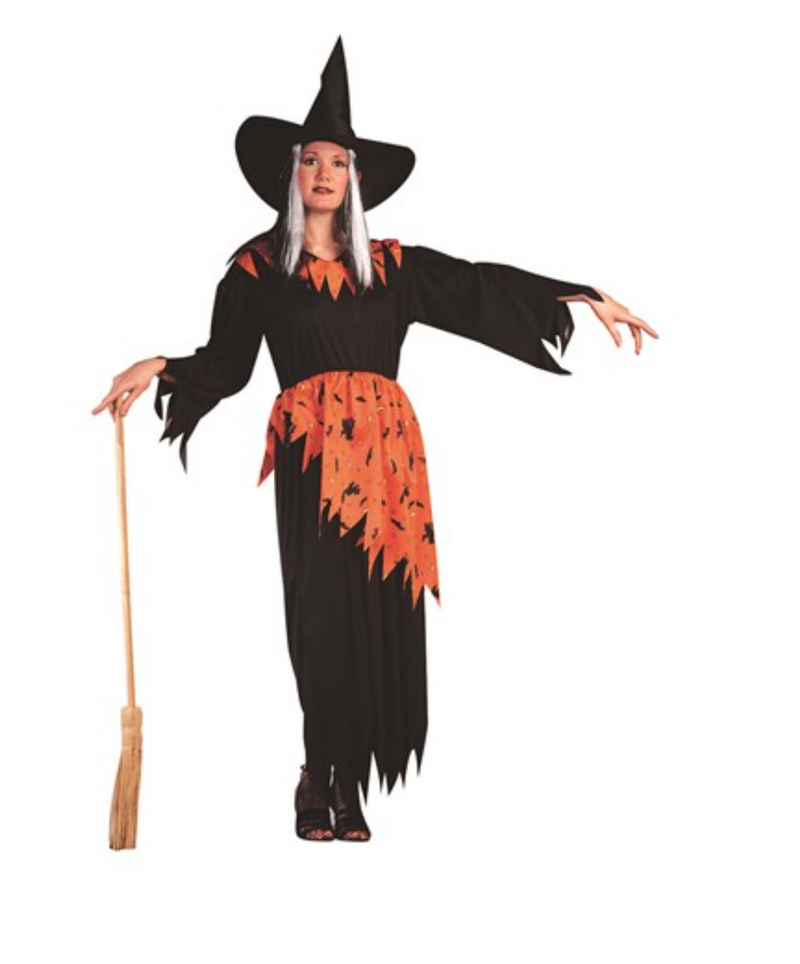 Halloween Witch Costume | Costume-Shop.com