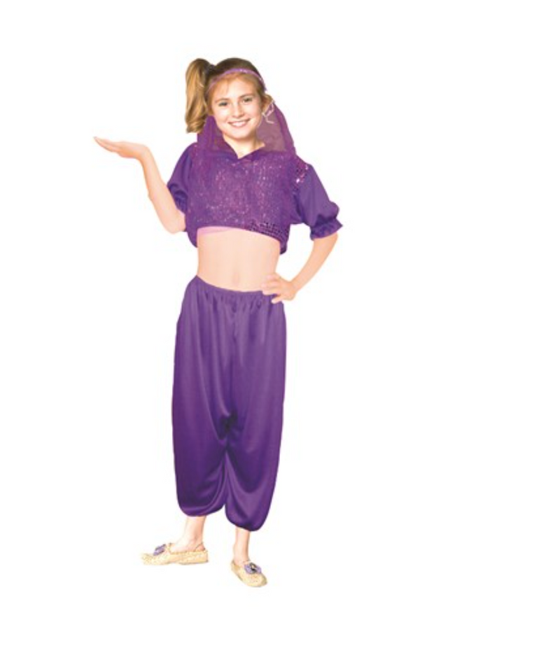 Harem Girl Costume | Costume-Shop.com - Large - image 1