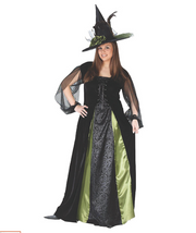 Gothic Witch Maiden | Costume-Shop.com - image 1