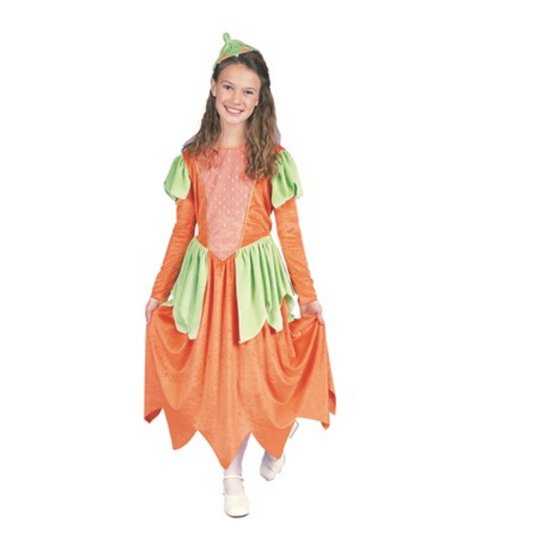 Child Pumpkin Patches Costume - Orange | Costume-Shop.com - Large - image 1