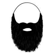 Costume Beard and Mustache - Black - image 2