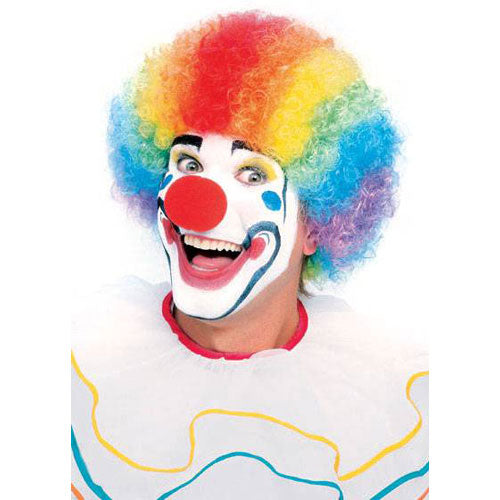 Colorful Clown Wig - image 1