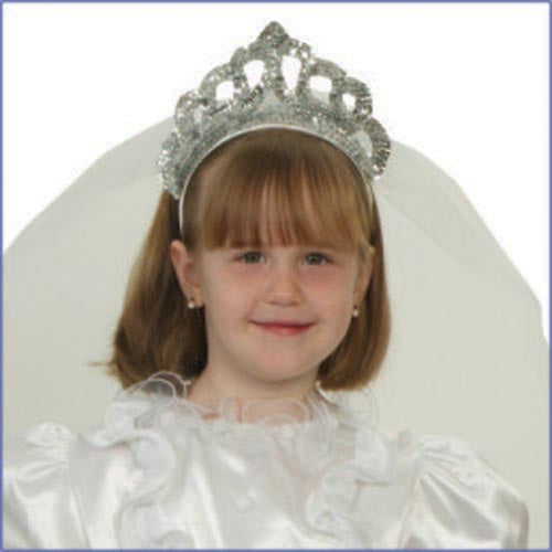 Silver Tiara with Veil - image 1