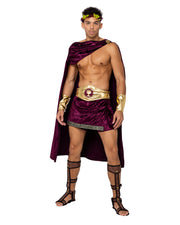 Men's God Of Wine Costume | Costume-Shop.com - Merlot / S - image 1
