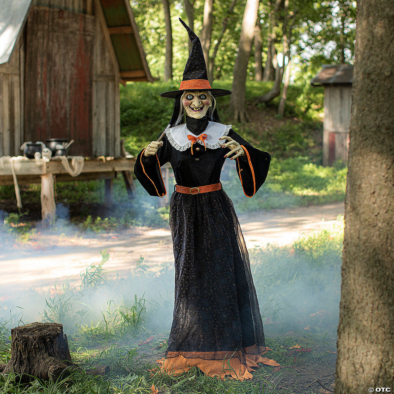 Animated Whimsical Witch Prop | Costume-Shop.com - image 1