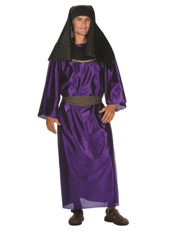 Adult Pharoah Costume -Purple