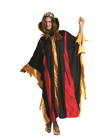 Wicked Queen- adult costume OS