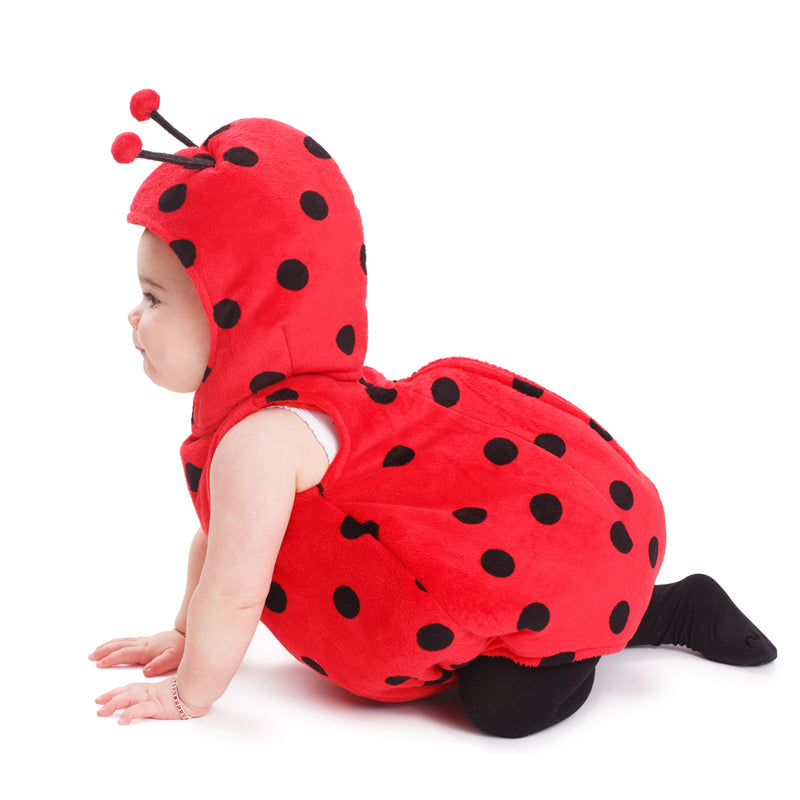 Baby Ladybug Costume - 0-6 Months - image 3