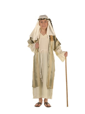 Wise Shepherd Costume