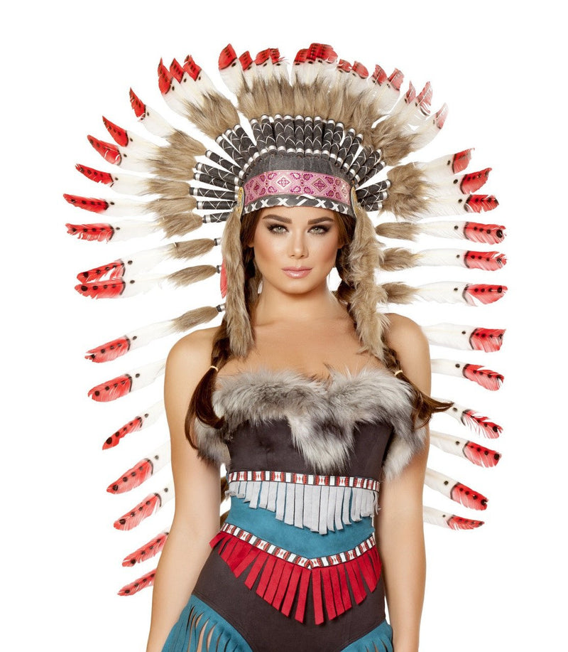 Native American Headdress - image 1