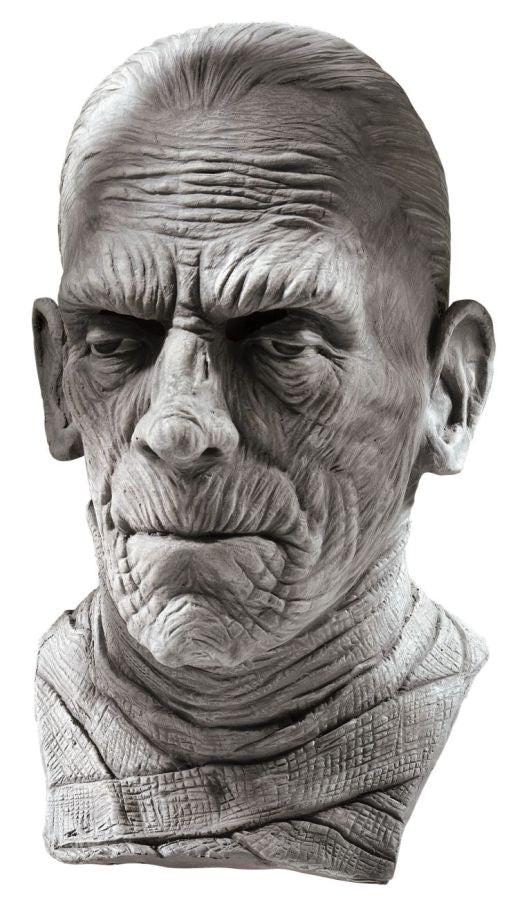 Mummy Mask - One Size Fits Most - image 1