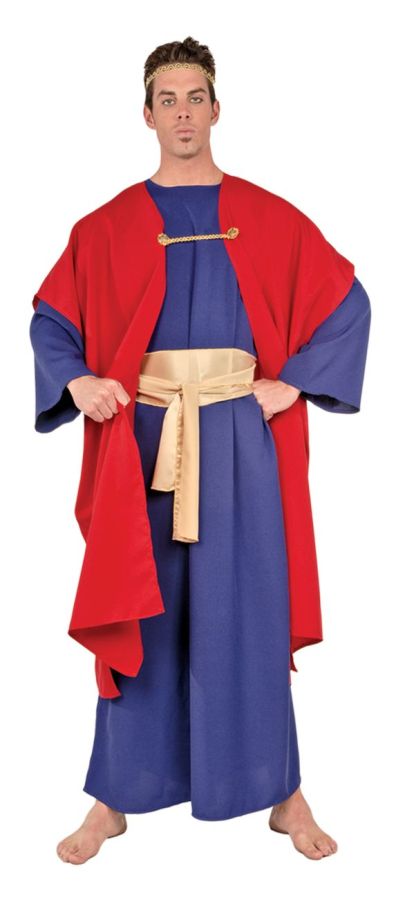 Wiseman I Costume - One Size Fits Most - image 1