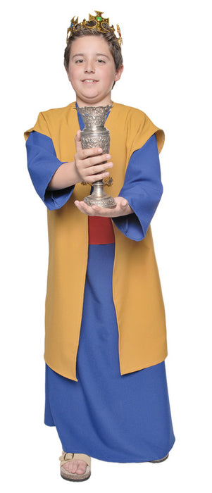 Wiseman Costume