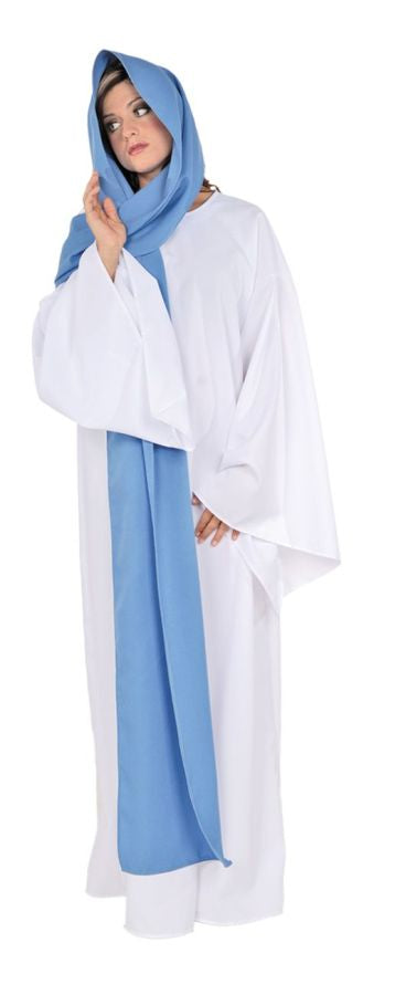 Mary Costume - One Size Fits Most - image 1