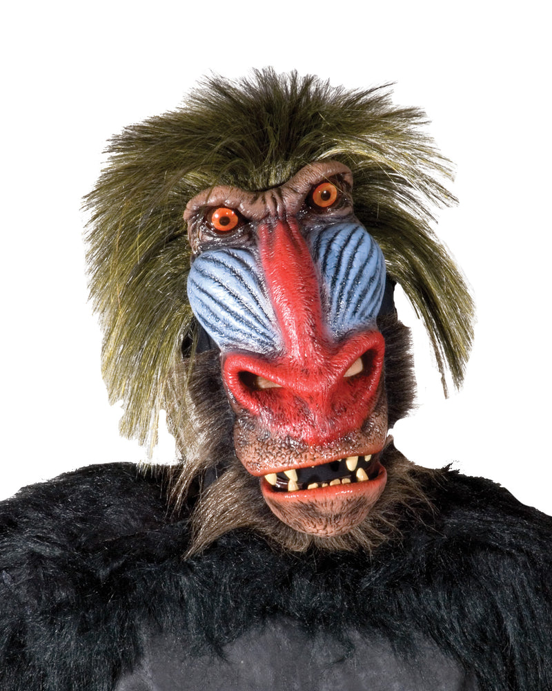 Baboon Mask - One Size Fits Most - image 1