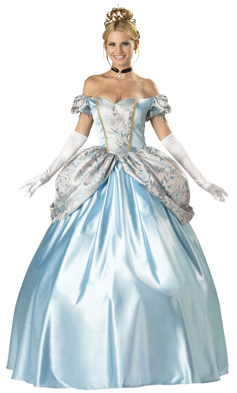 Enchanting Princess Costume - WOMEN 4-6 - image 1