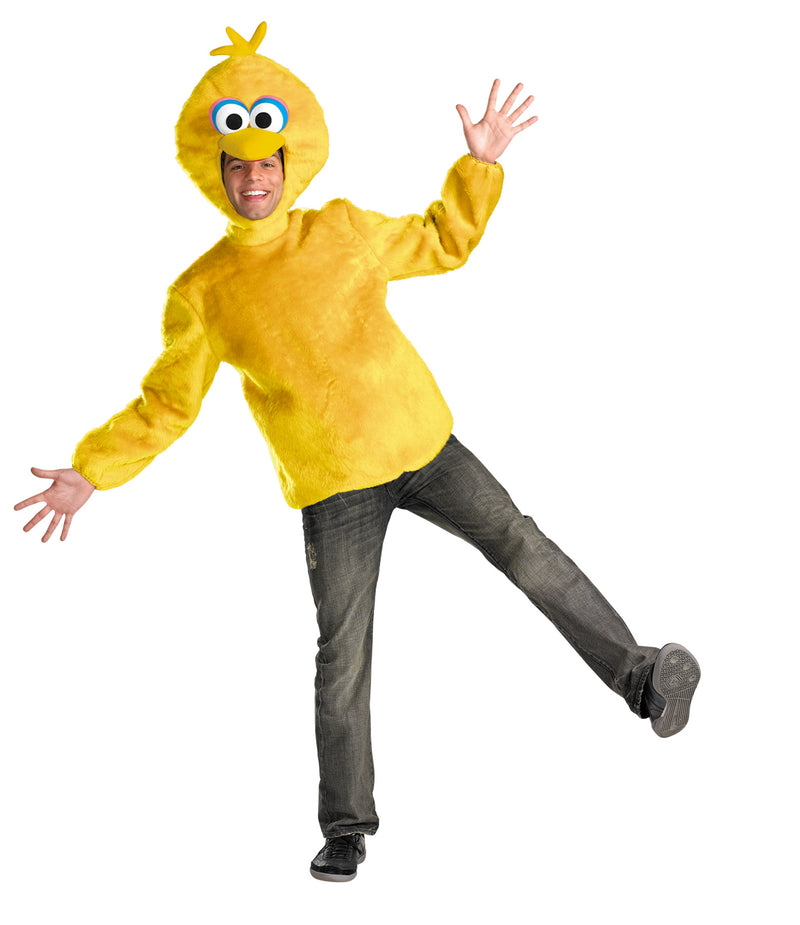 Sesame Street Big Bird Adult Costume - Large 42-46 - image 1