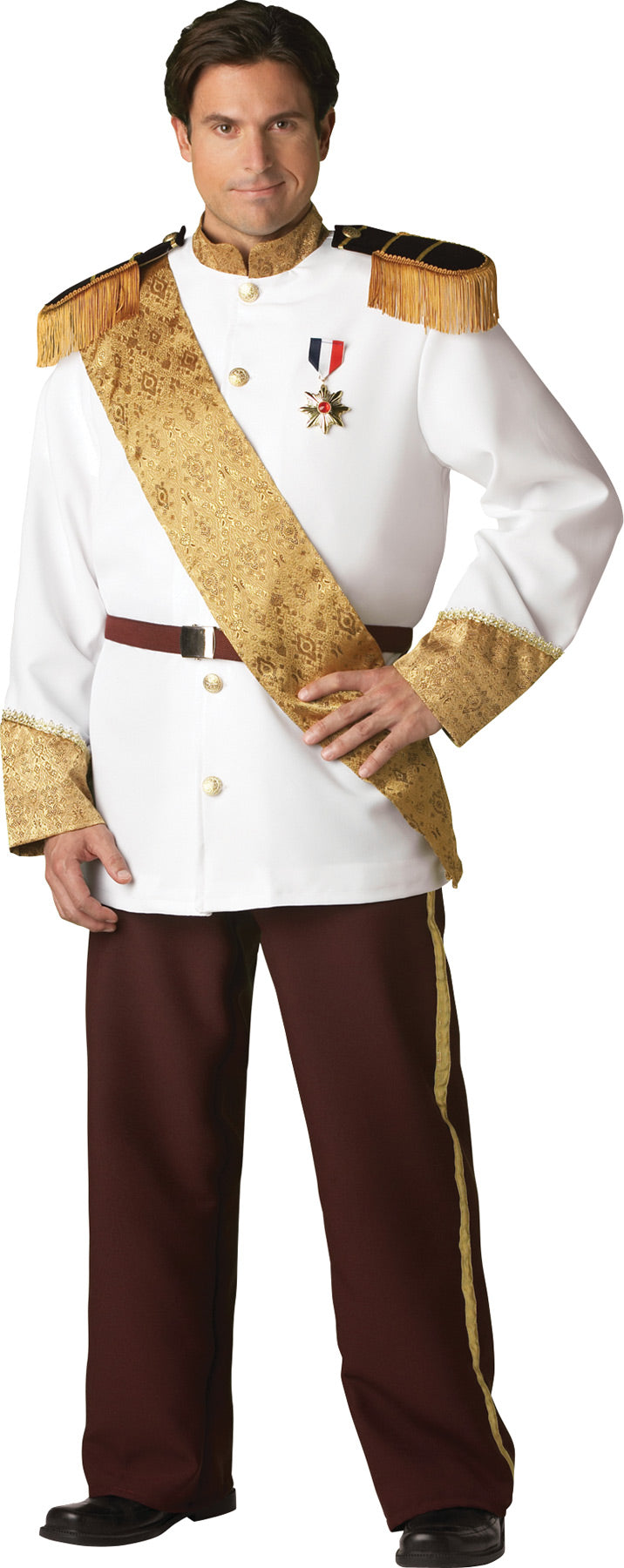 Prince Charming Costume - XXL - image 1