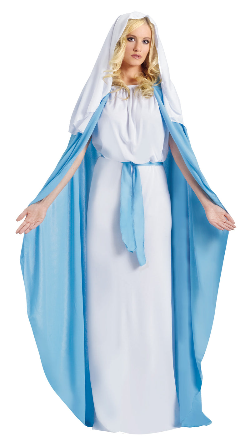 Mary Costume | Costume-Shop.com - image 1