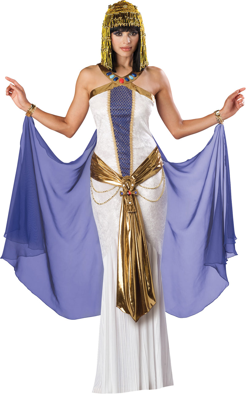 Jewel Of The Nile Elite Costume - Large - image 1