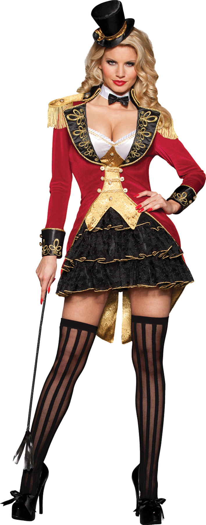 Big Top Tease Costume - WOMAN 12-14 - image 1