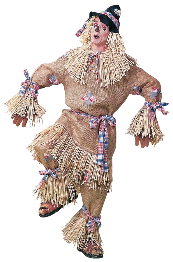 Scarecrow Costume Deluxe - ONE SIZE - image 1