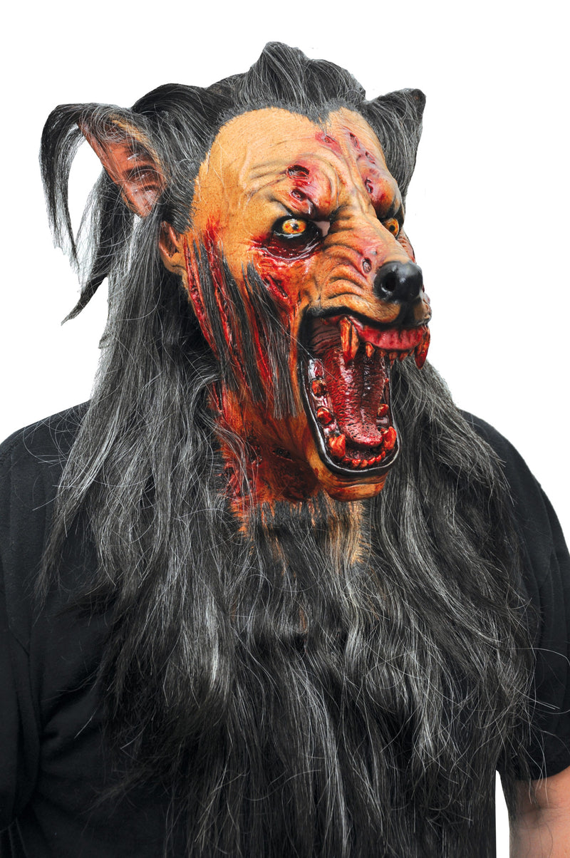 Brown Wolf Latex Mask - One Size Fits Most - image 1